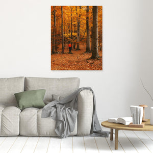 Höstfärger i bokskog – Svejserdalen Mölndal | Canvas