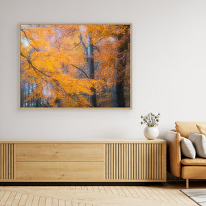 Gyllene höst i Svejserdalen - CANVAS