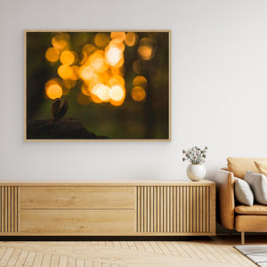 Gyllene morgon vid Rådasjön - CANVAS