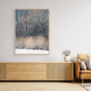 Vass i vinterlandskap Stora Amundön Göteborg – Fotokonst | Canvas