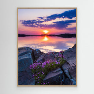 Blommande trift vid Billdal – Göteborgs kust | Canvas