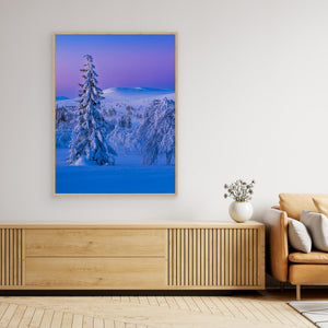 Vintervidder i Dalarna - CANVAS