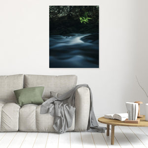 Ormbunkar vid Mölndalsån – Kvarnberget, Risbohult naturreservat - CANVAS