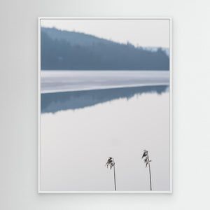 Minimalistiskt landskap vid Västra Ingsjön – Naturfoto | Canvas