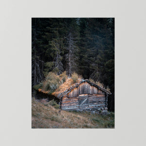 Vid skogens kant | Steget, Hemsedal | Fine Art Prin