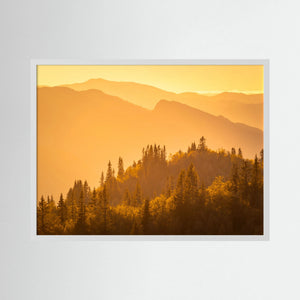 Gyllene kvällsljus - Hemsedal, Norge | Fine Art Print