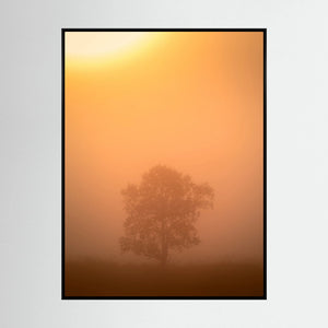 Ensam i morgondimman – Hemsedal, Norge | Canvas