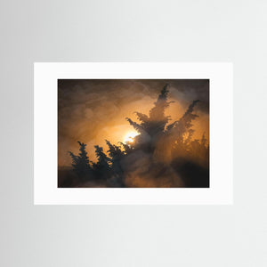 Kreativt naturfotografi från Stora Amundön – Fine Art Print