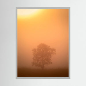 Ensam i morgondimman – Hemsedal, Norge | Fine Art Print