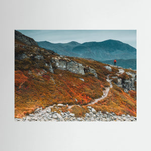 Liten i det stora - Hemsedal, Norge | Fine Art Print