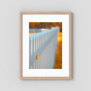 Höstens lilla avtryck - Bruksvallarna | Fine Art Print
