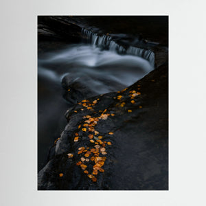 Höstens stilla rörelse - Ljusnan, Bruksvallarna | Fine Art Print