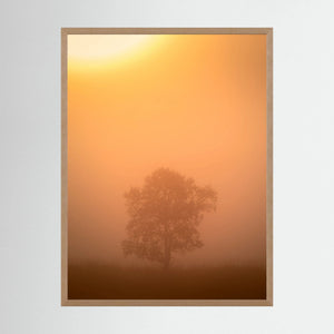 Ensam i morgondimman – Hemsedal, Norge | Fine Art Print