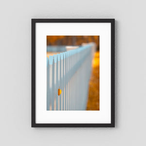 Höstens lilla avtryck - Bruksvallarna | Fine Art Print