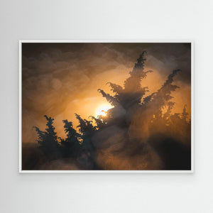 Kreativt naturfotografi från Stora Amundön – Fine Art Print