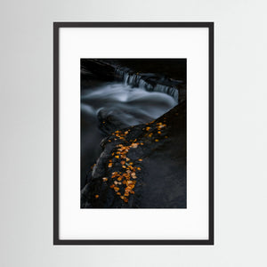 Höstens stilla rörelse - Ljusnan, Bruksvallarna | Fine Art Print