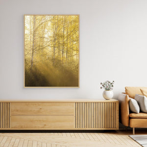 Morgonljus genom björkar i Gunnebo | Canvas från Mölndal