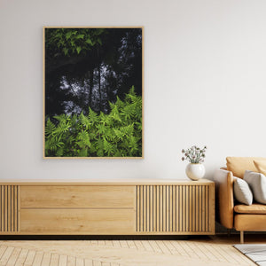 Ormbunkar och skogsspegling i Bråtaskogen | Canvas från Härryda kommun