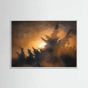 Kreativt naturfotografi från Stora Amundön – Fine Art Print