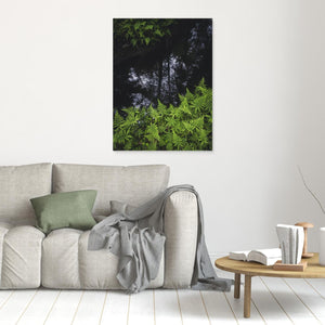 Ormbunkar och skogsspegling i Bråtaskogen | Canvas från Härryda kommun