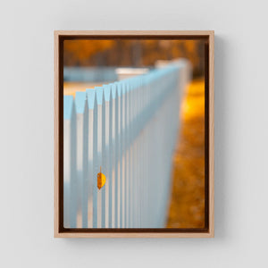 Höstens lilla avtryck - Bruksvallarna | Canvas