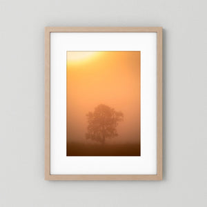 Ensam i morgondimman – Hemsedal, Norge | Fine Art Print