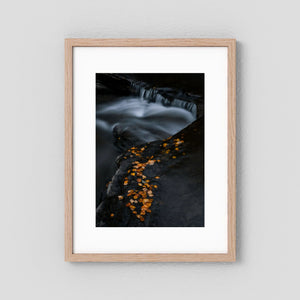 Höstens stilla rörelse - Ljusnan, Bruksvallarna | Fine Art Print