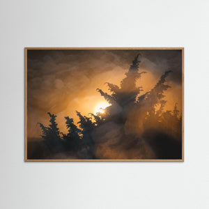 Kreativt naturfotografi från Stora Amundön – Fine Art Print