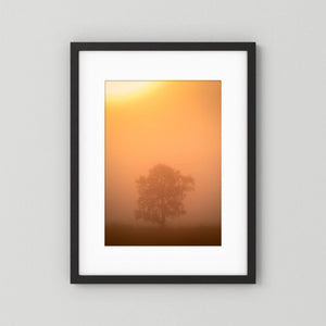 Ensam i morgondimman – Hemsedal, Norge | Fine Art Print