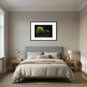 Ljuset i berget - Högsbo pegmatitbrott | Fine Art Print