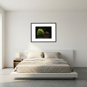 Ljuset i berget - Högsbo pegmatitbrott | Fine Art Print