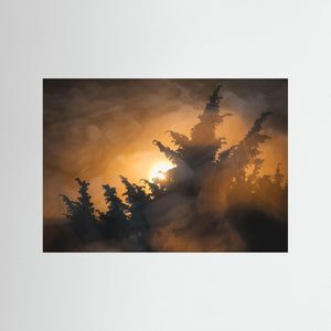 Kreativt naturfotografi från Stora Amundön – Fine Art Print