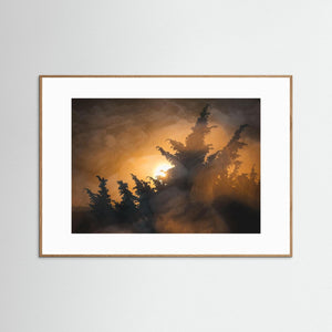 Kreativt naturfotografi från Stora Amundön – Fine Art Print