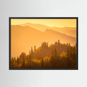 Gyllene kvällsljus - Hemsedal, Norge | Fine Art Print