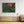 De vindvridna träden i Särö Västerskog | Canvas 