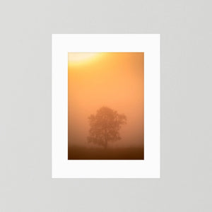 Ensam i morgondimman – Hemsedal, Norge | Fine Art Print