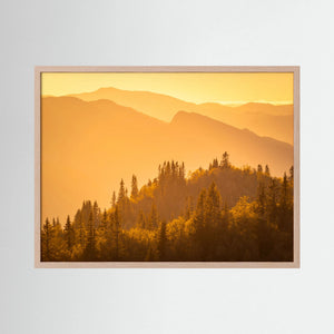 Gyllene kvällsljus - Hemsedal, Norge | Fine Art Print