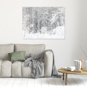 Snötäckt skog Änggårdsbergen Göteborg – Vinterlandskap | Canvas