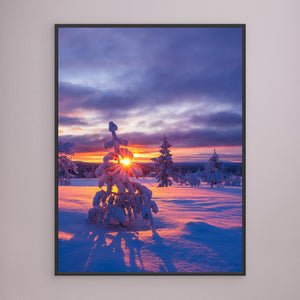 Vinterljus i Lofsdalsfjällen - CANVAS