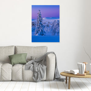 Vintervidder i Dalarna - CANVAS