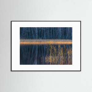 Vass i stillhet – Rådasjön, Härryda kommun | Fine Art Print