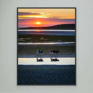 Kvällsvandring i Galtabäck - CANVAS