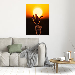 Backsippa i solnedgång – Fjärås Bräcka naturreservat - CANVAS