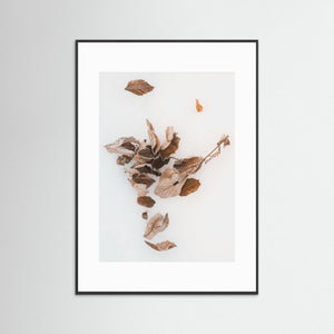 Härjedalen – Vinterlöv vid Sörvattnet | Fine Art Print