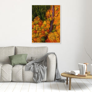 Höstens färgflod – Tostaredsvägen - CANVAS