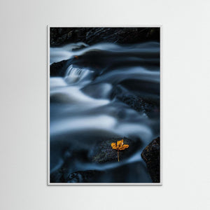 Ett löv i strömmen – Mölndalsån, Kvarnberget | Fine Art Print
