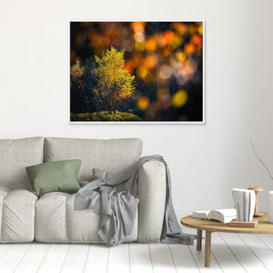 Gyllene ögonblick i Änggårdsbergen - CANVAS