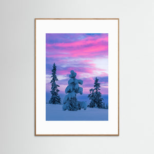 Vintermorgon i Lofsdalsfjällen – Snötyngda granar i rosa gryningsljus | Fine Art Print