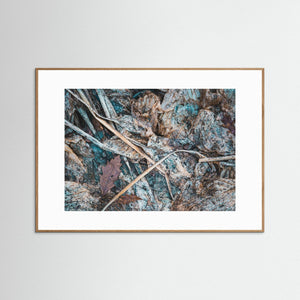 Göteborg – Naturens struktur vid Lilla Änggården | Fine Art Print