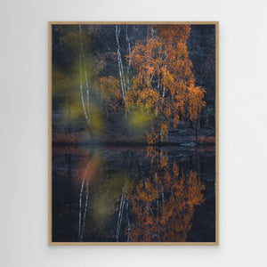 Höst vid Trinde mosse – Änggårdsbergen Göteborg | Canvas